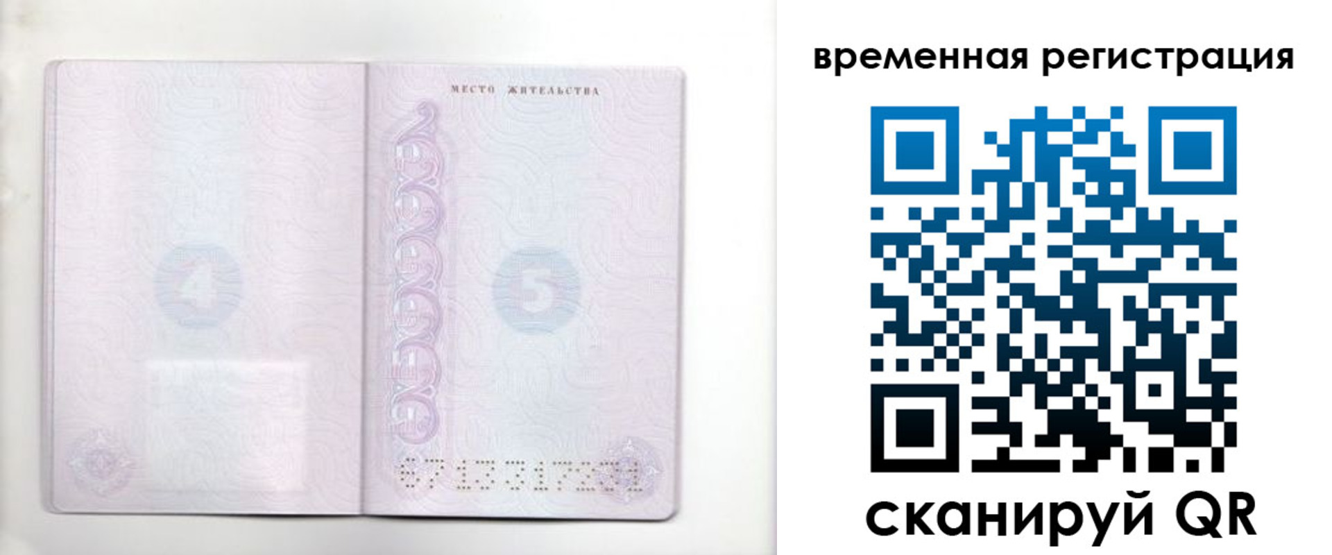 регистрация для дет. сада в Мурино