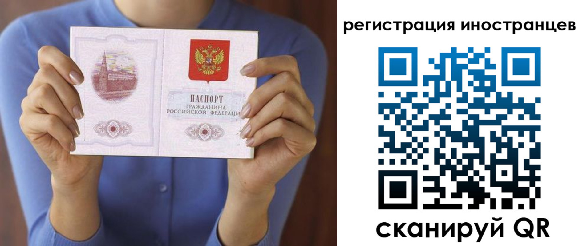 регистрация для дет. сада в Мурино